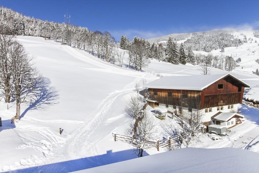 Eberharthof Leilighet Saalbach-Hinterglemm Eksteriør bilde